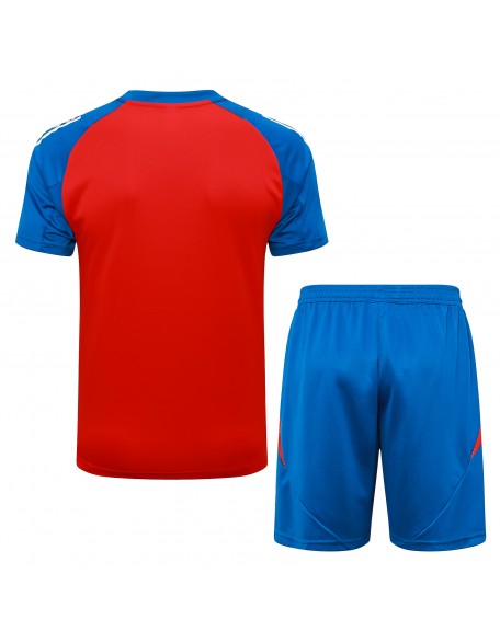 Camisetas + Shorts España 24/25