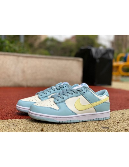 Nike SB Dunk Low 