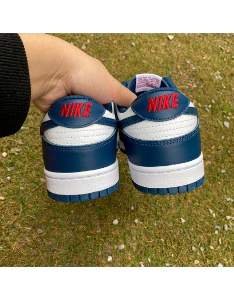 Nike SB Dunk Low 