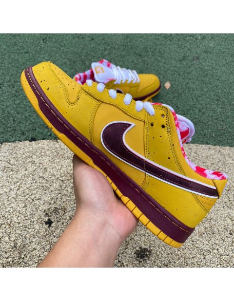 Nike SB Dunk Low 